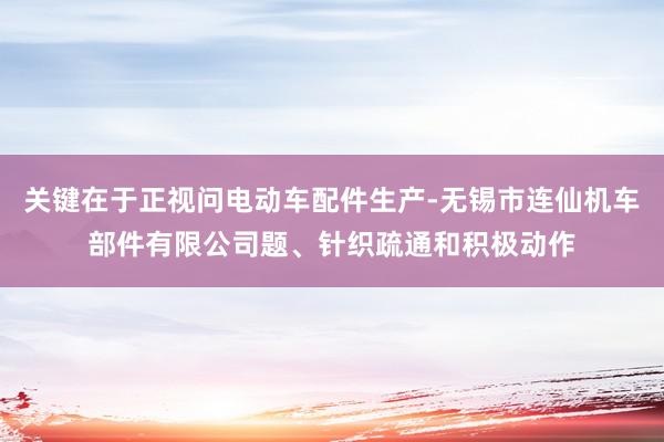关键在于正视问电动车配件生产-无锡市连仙机车部件有限公司题、针织疏通和积极动作