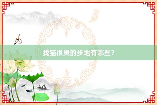找猫很灵的步地有哪些？