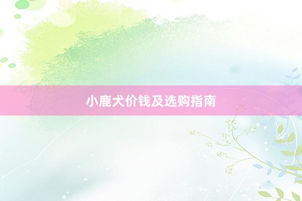 小鹿犬价钱及选购指南